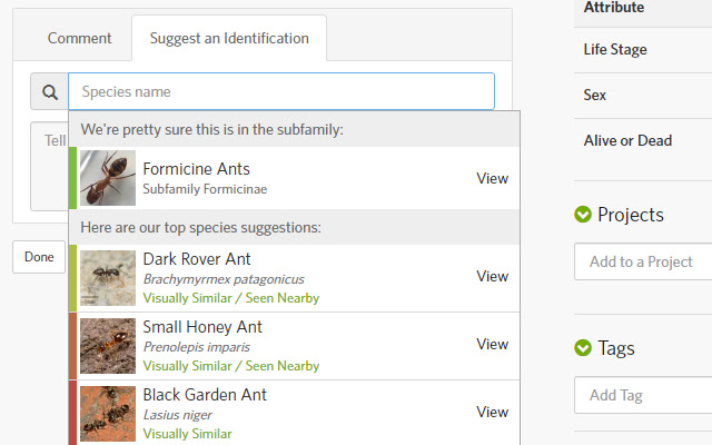 iNaturalist Enhancement Suite  from Chrome web store to be run with OffiDocs Chromium online