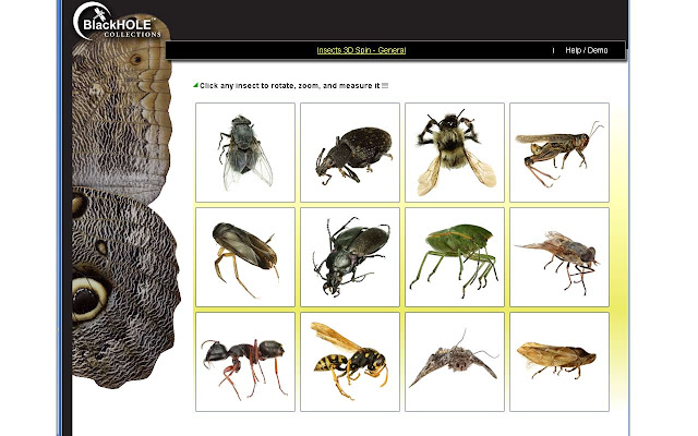 Insect 3D Spin General  from Chrome web store to be run with OffiDocs Chromium online