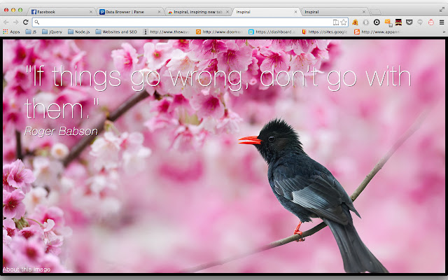 Inspiral, inspiring new tab page  from Chrome web store to be run with OffiDocs Chromium online