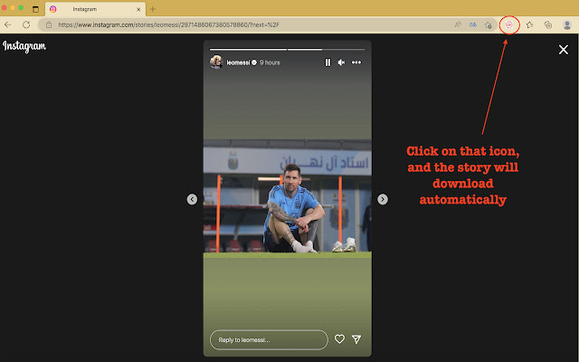 InstaDP Stories  from Chrome web store to be run with OffiDocs Chromium online