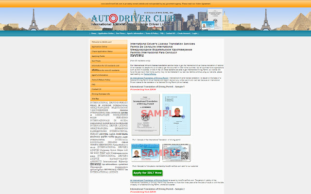 International Drivers License Translation  from Chrome web store to be run with OffiDocs Chromium online