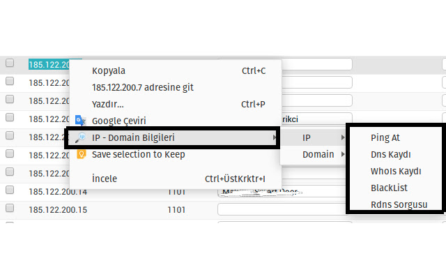 IP Domain Bilgileri  from Chrome web store to be run with OffiDocs Chromium online