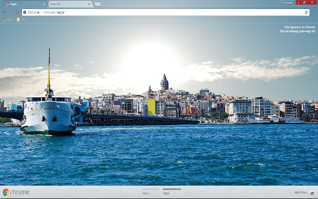Istanbul ocean cruise 1366*768  from Chrome web store to be run with OffiDocs Chromium online