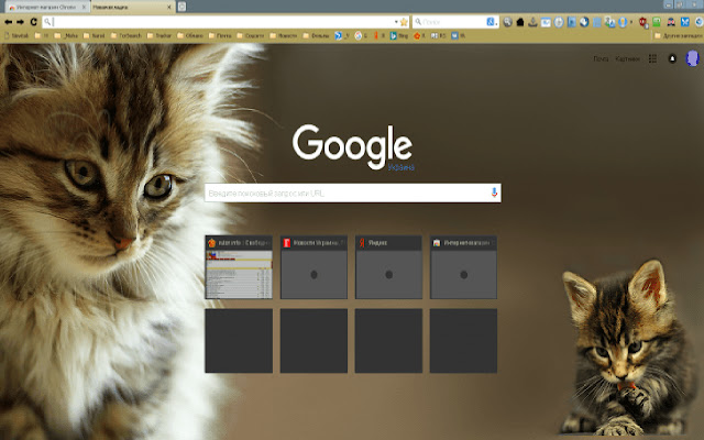 Kittens 02  from Chrome web store to be run with OffiDocs Chromium online