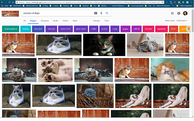 KittyVision  from Chrome web store to be run with OffiDocs Chromium online