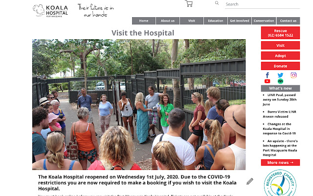 Koala Hospital Website CMS  from Chrome web store to be run with OffiDocs Chromium online