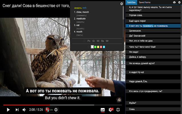 Language Learning with Youtube BETA  from Chrome web store to be run with OffiDocs Chromium online