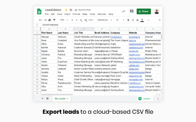 LeadGibbon Email Finder  from Chrome web store to be run with OffiDocs Chromium online