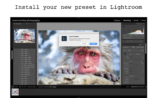 Lightroom Preset Generator  from Chrome web store to be run with OffiDocs Chromium online