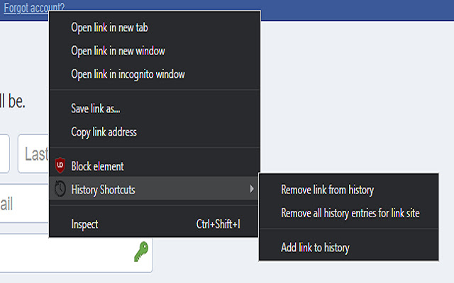 Link History Shortcuts  from Chrome web store to be run with OffiDocs Chromium online