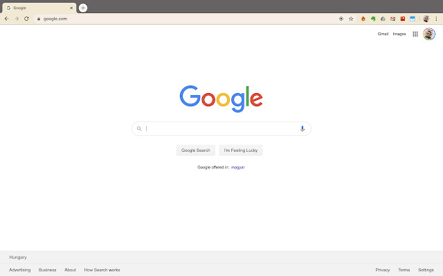 Lions Theme  from Chrome web store to be run with OffiDocs Chromium online