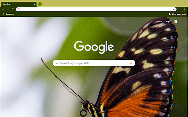 Lone Butterfly II  from Chrome web store to be run with OffiDocs Chromium online