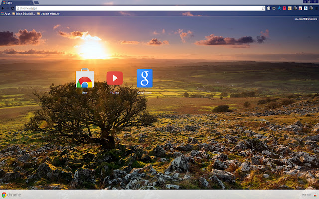 Lonely Tree  from Chrome web store to be run with OffiDocs Chromium online