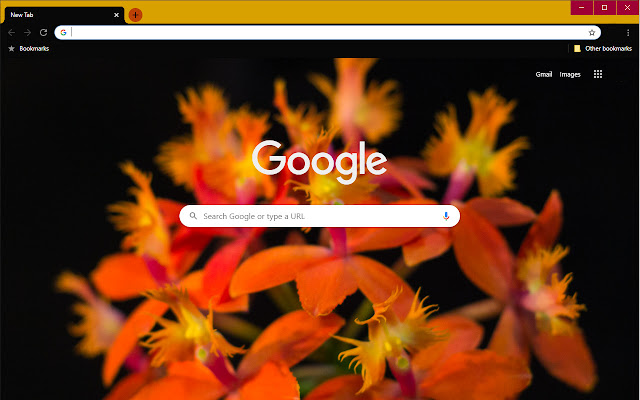 Lone Orchid  from Chrome web store to be run with OffiDocs Chromium online