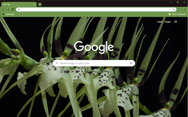 Lone Orchid III  from Chrome web store to be run with OffiDocs Chromium online