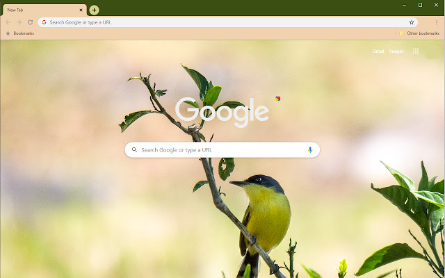 Lone Tody flycatcher  from Chrome web store to be run with OffiDocs Chromium online