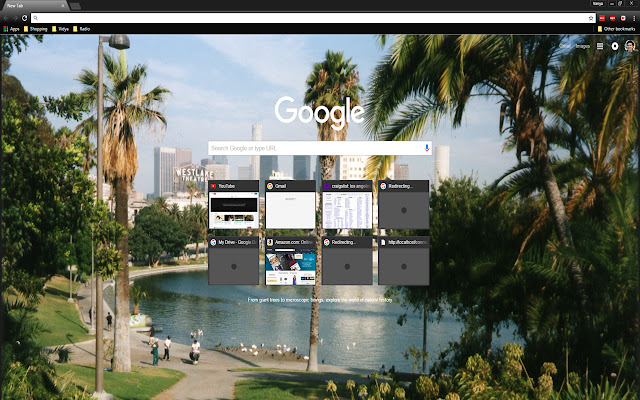 Los Angeles MacArthur Park  from Chrome web store to be run with OffiDocs Chromium online