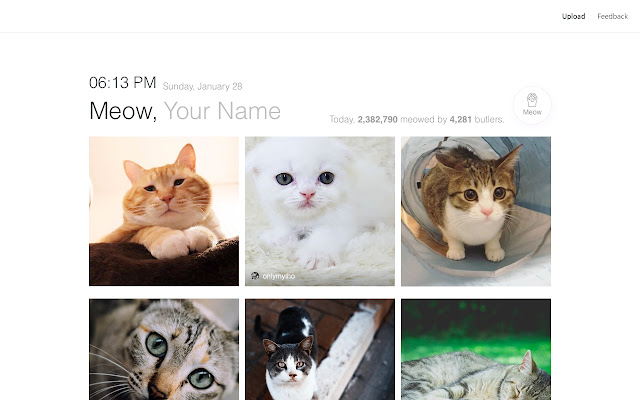 Meow  from Chrome web store to be run with OffiDocs Chromium online