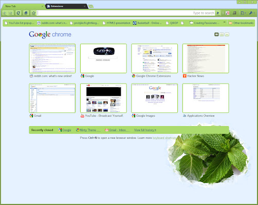 Minty Theme  from Chrome web store to be run with OffiDocs Chromium online