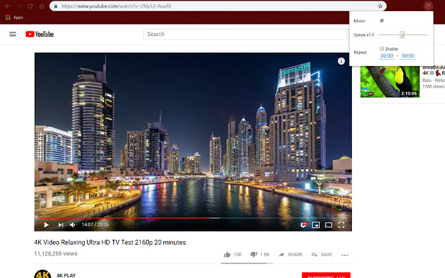 MirrorTube  from Chrome web store to be run with OffiDocs Chromium online