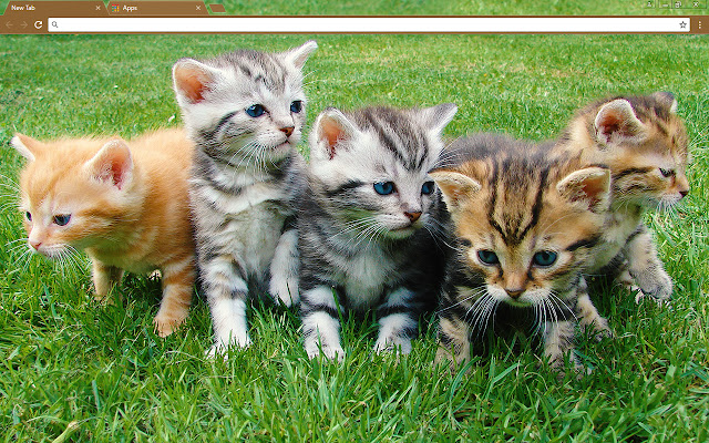 More Kittens  from Chrome web store to be run with OffiDocs Chromium online