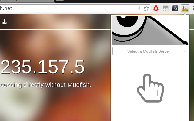 Mudfish HTTP Proxy  from Chrome web store to be run with OffiDocs Chromium online