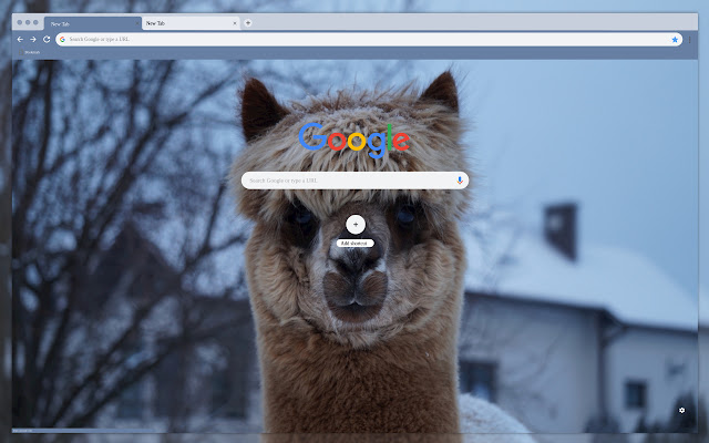 Muzzle alpaca in winter  from Chrome web store to be run with OffiDocs Chromium online