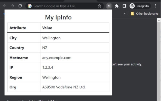 My IpInfo  from Chrome web store to be run with OffiDocs Chromium online