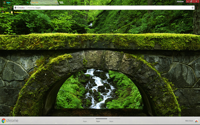 Nature bridge  from Chrome web store to be run with OffiDocs Chromium online