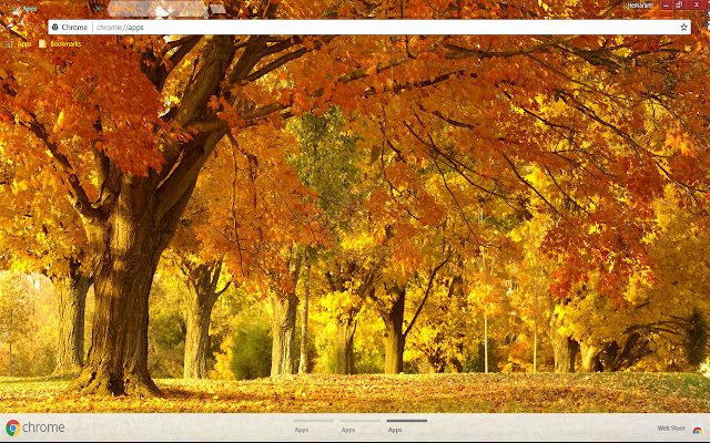 Nature Fall  from Chrome web store to be run with OffiDocs Chromium online