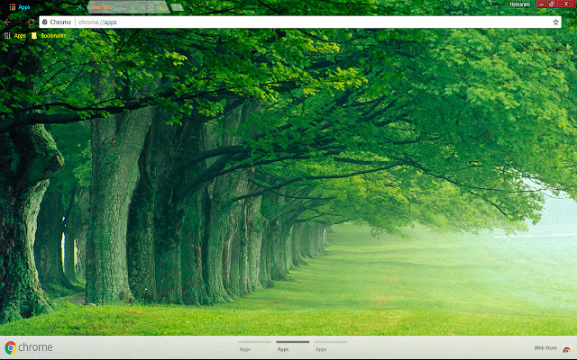 Nature Forest  from Chrome web store to be run with OffiDocs Chromium online