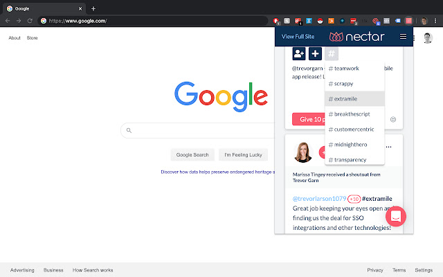 Nectar HR Extension  from Chrome web store to be run with OffiDocs Chromium online