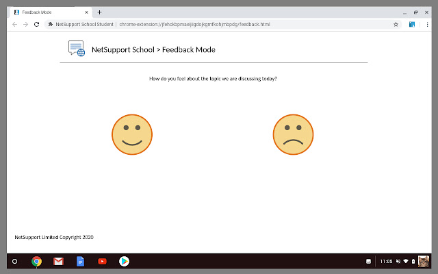 NetSupport School Student  from Chrome web store to be run with OffiDocs Chromium online