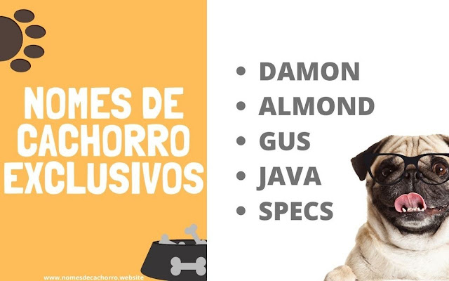 Nomes de Cachorro  from Chrome web store to be run with OffiDocs Chromium online