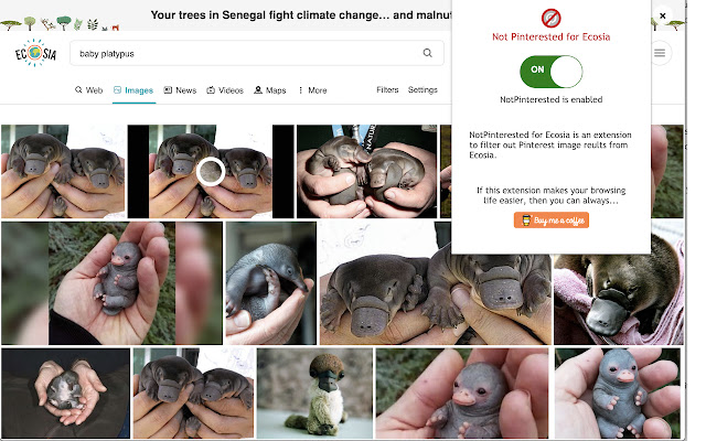 NotPinterested for Ecosia  from Chrome web store to be run with OffiDocs Chromium online