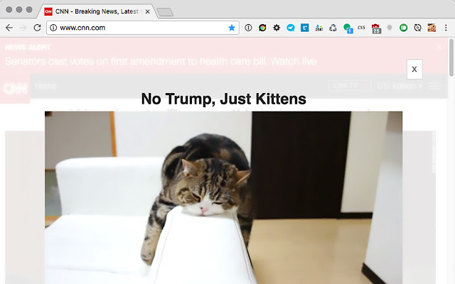 No Trump, Just Kittens  from Chrome web store to be run with OffiDocs Chromium online