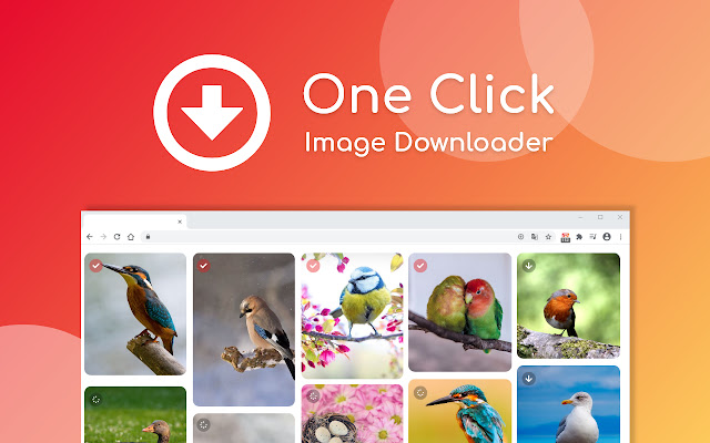 One Click Image Downloader  from Chrome web store to be run with OffiDocs Chromium online