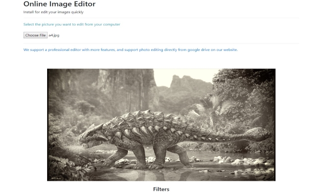 Online Image Editor for Google Drive  from Chrome web store to be run with OffiDocs Chromium online