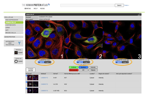 Open in ImageJ.JS  from Chrome web store to be run with OffiDocs Chromium online