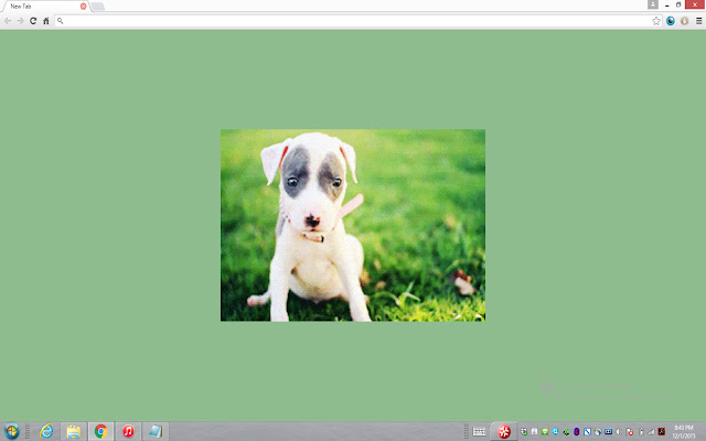 OpenPuppies  from Chrome web store to be run with OffiDocs Chromium online