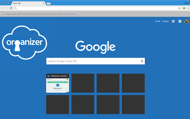 ORGanizer for Salesforce Theme  from Chrome web store to be run with OffiDocs Chromium online