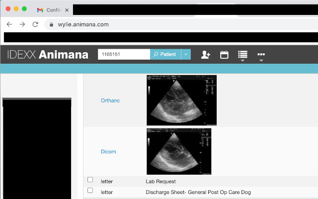 Orthancimana  from Chrome web store to be run with OffiDocs Chromium online