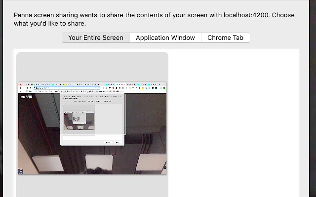 Panna screen sharing  from Chrome web store to be run with OffiDocs Chromium online