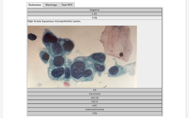 Pap Test  from Chrome web store to be run with OffiDocs Chromium online