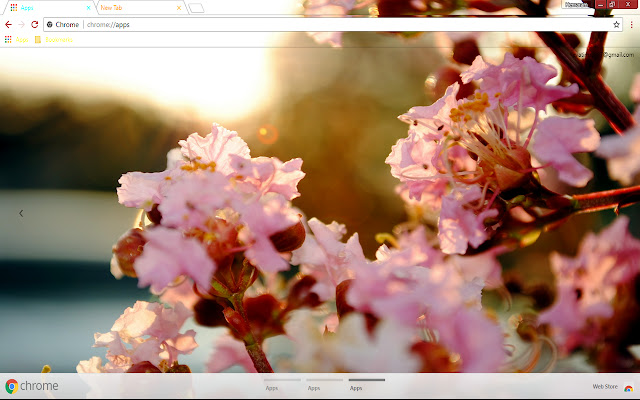 Pastel Spring  from Chrome web store to be run with OffiDocs Chromium online