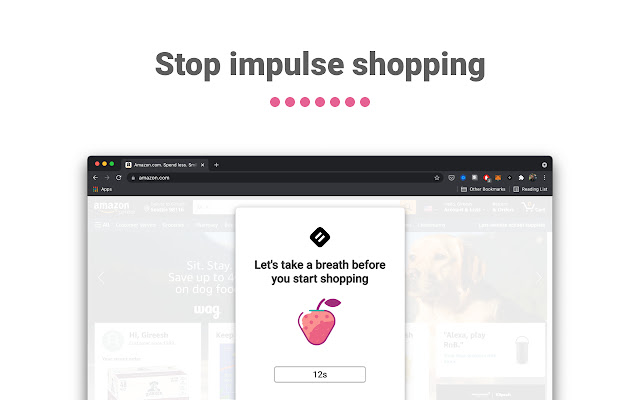 Pause Stop Impulse Shopping  from Chrome web store to be run with OffiDocs Chromium online