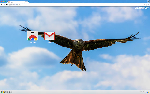 Peregrine Falcon Theme  from Chrome web store to be run with OffiDocs Chromium online