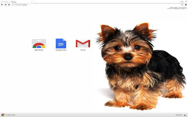 perro lindo  from Chrome web store to be run with OffiDocs Chromium online