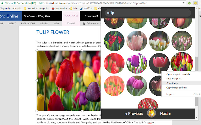 Photo comments from emojiSelector  from Chrome web store to be run with OffiDocs Chromium online