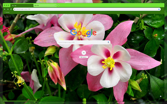 Pink flowers  from Chrome web store to be run with OffiDocs Chromium online